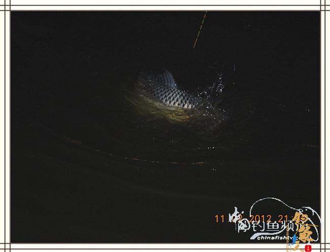 寒夜中的坚守，终于擒获大鲤 图