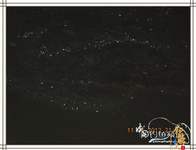 寒夜中的坚守，终于擒获大鲤 图