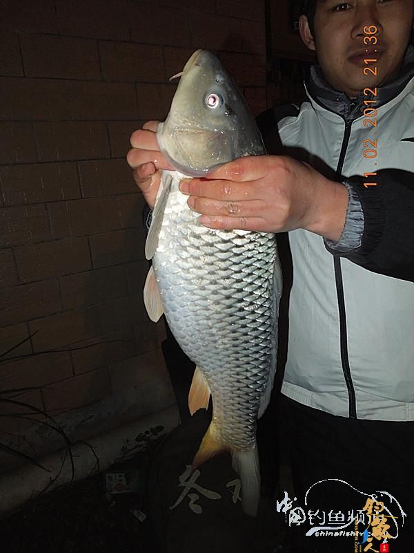 寒夜中的坚守，终于擒获大鲤 图