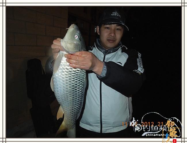 寒夜中的坚守，终于擒获大鲤 图