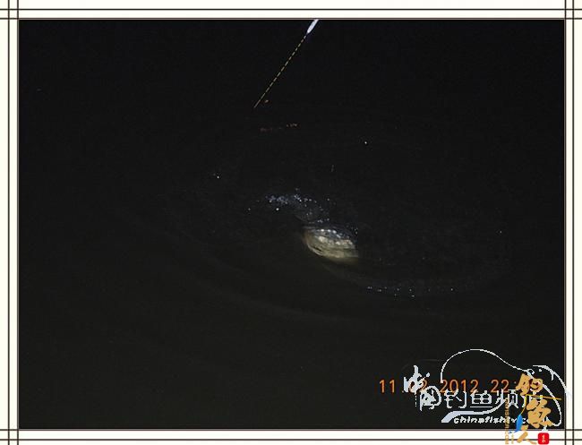 寒夜中的坚守，终于擒获大鲤 图