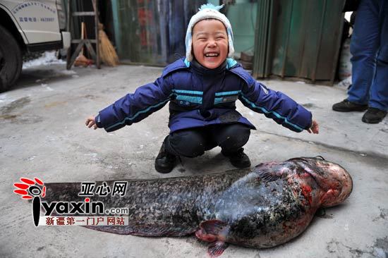 乌鲁木齐一男子在红雁池水库钓起20多公斤重鲶鱼 图