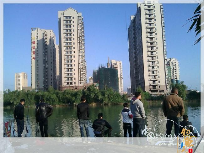 宁德钓记④——情何以堪！图