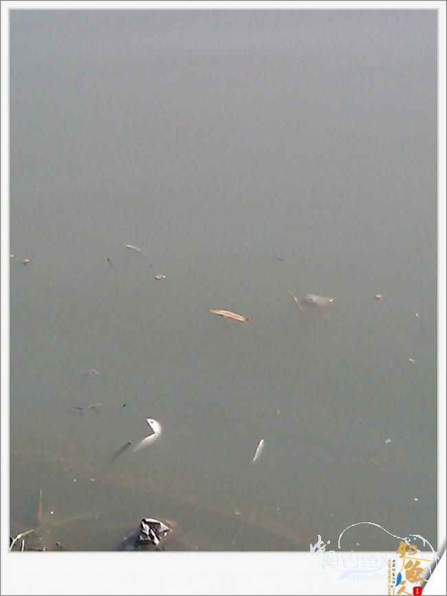 宁德钓记④——情何以堪！图