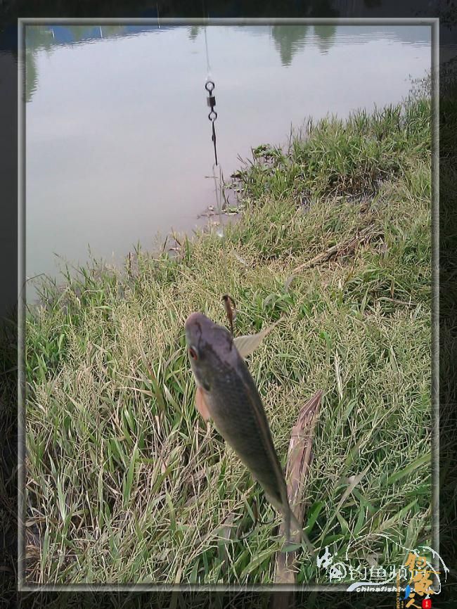 宁德钓记④——情何以堪！图