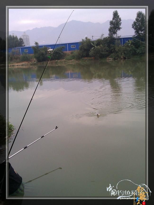 宁德钓记④——情何以堪！图