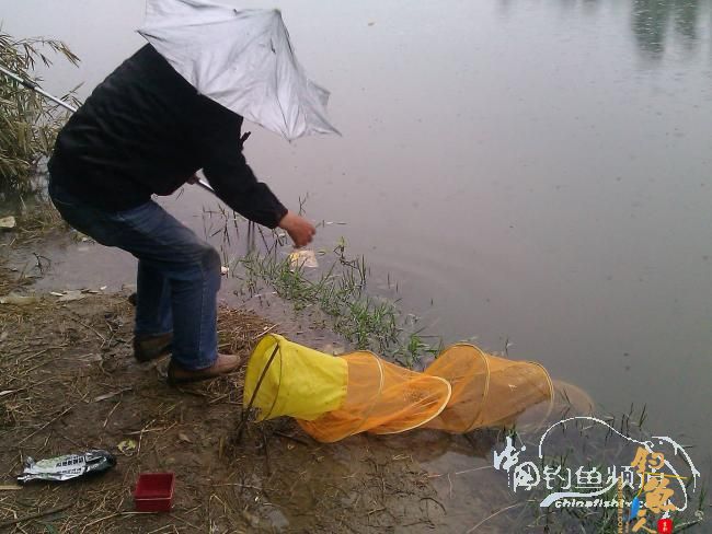 宁德钓记④——情何以堪！图