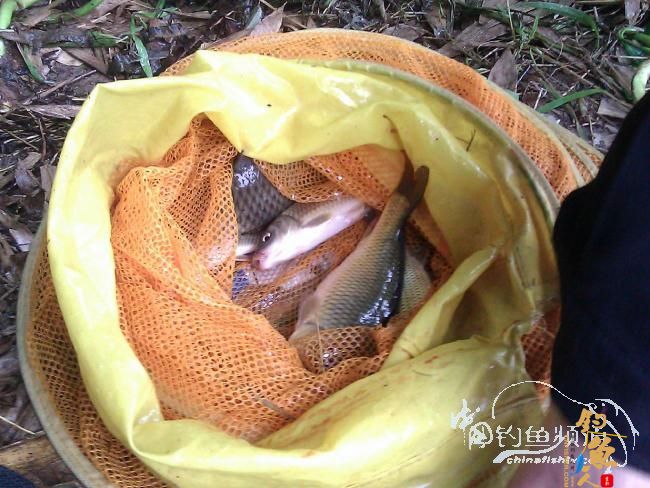 宁德钓记④——情何以堪！图