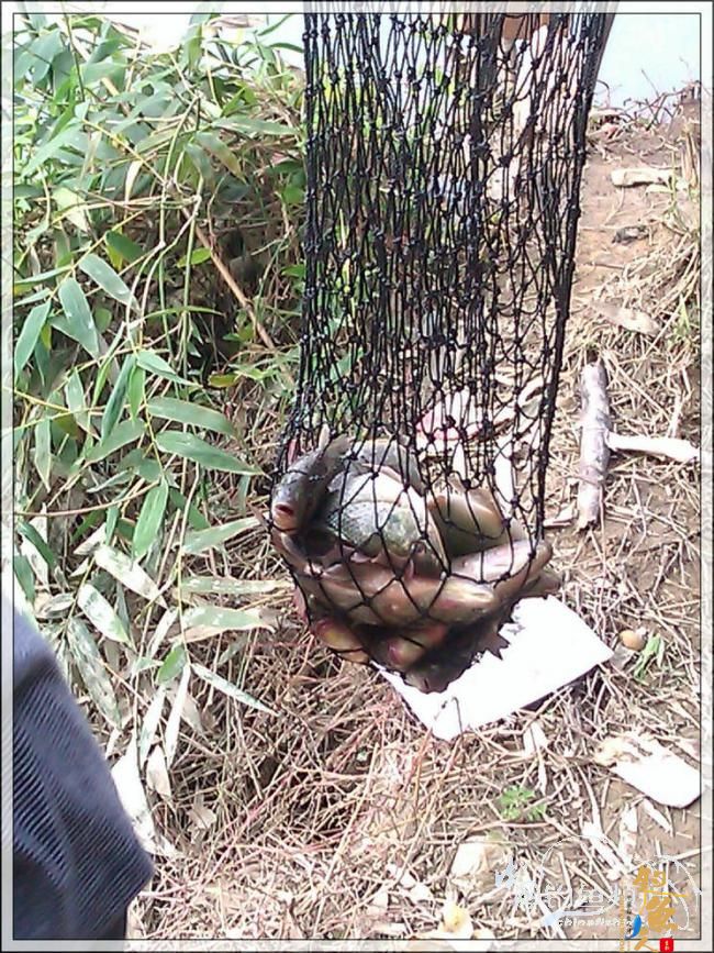 宁德钓记④——情何以堪！图