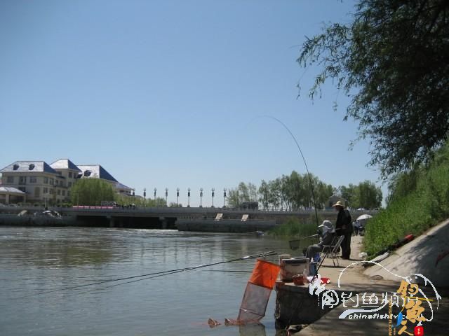 【原创】谁说女子不如男