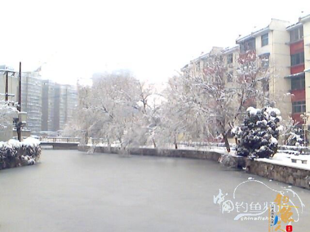 [原创] 盼 钓友文苑