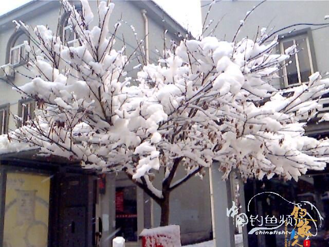 [原创] 盼 钓友文苑