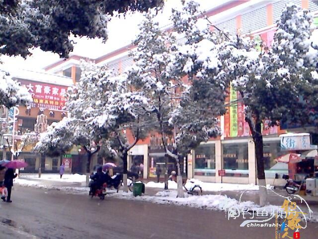 [原创] 盼 钓友文苑