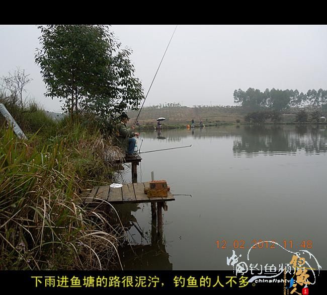 今天嘉和城收获两条大鲤 图