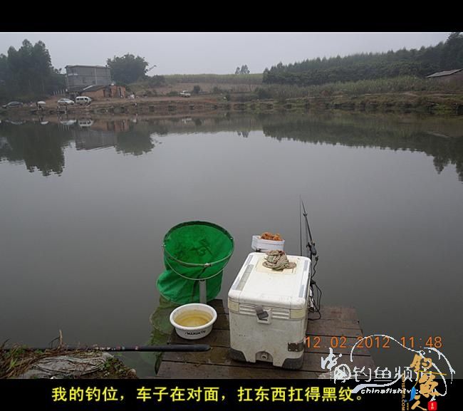 今天嘉和城收获两条大鲤 图