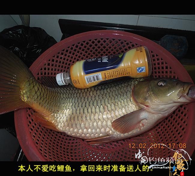 今天嘉和城收获两条大鲤 图