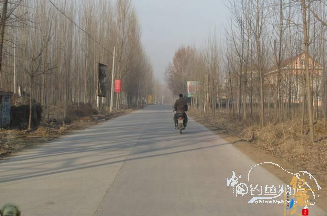 家 附近的小水塘