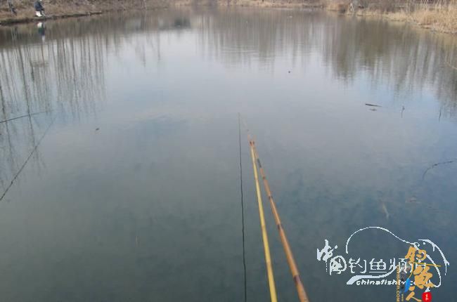 家 附近的小水塘