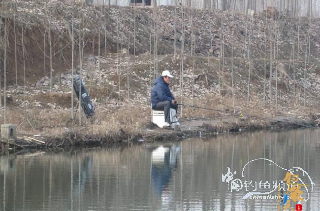 家 附近的小水塘