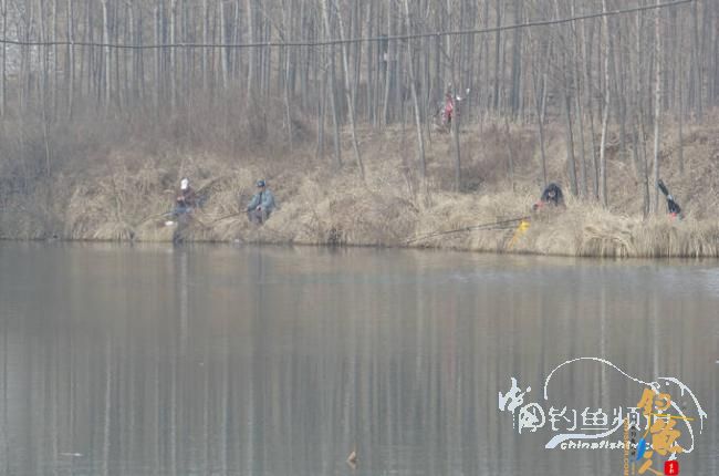 家 附近的小水塘