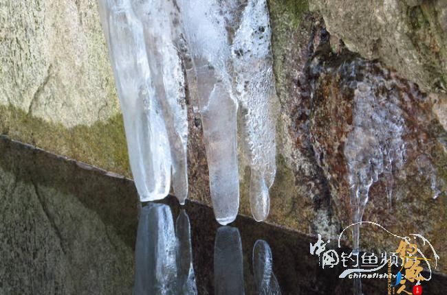 家 附近的小水塘