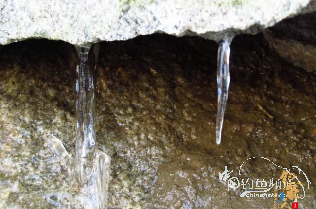 家 附近的小水塘