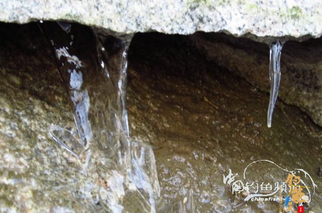 家 附近的小水塘