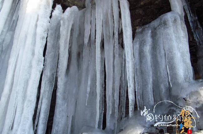 家 附近的小水塘