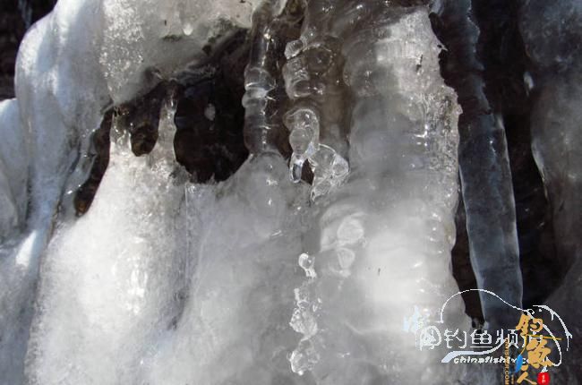 家 附近的小水塘