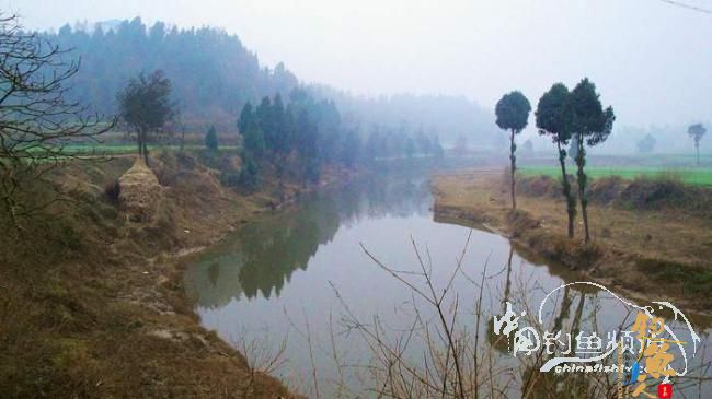 铩羽——我给卯卯钓鲫鱼（选址）