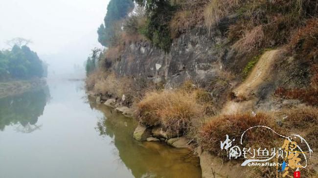 铩羽——我给卯卯钓鲫鱼（选址）