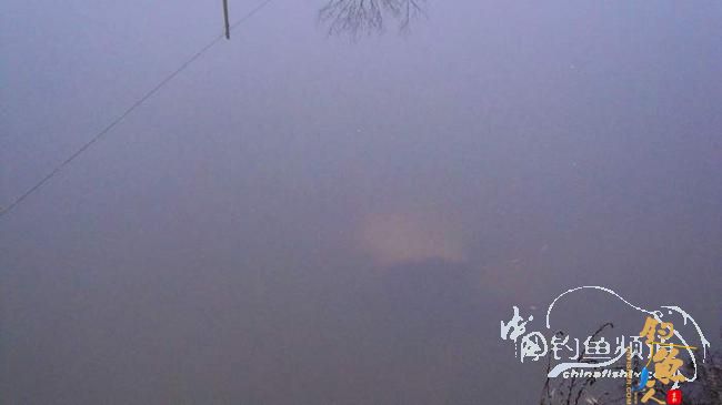 铩羽——我给卯卯钓鲫鱼（选址）