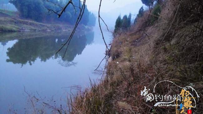 铩羽——我给卯卯钓鲫鱼（选址）