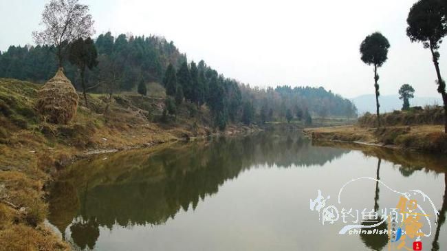 这样的地段,成为“鱼窝”的充分条件是:水深合适