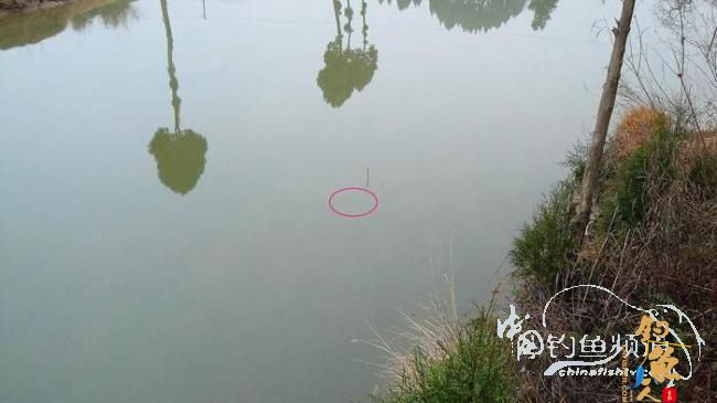 铩羽——我给卯卯钓鲫鱼(垂钓)