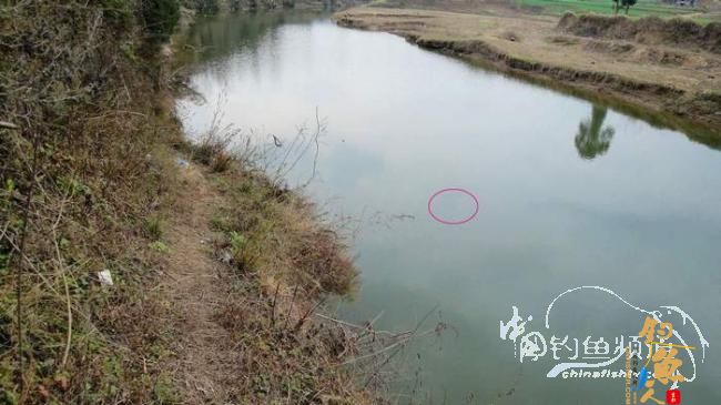 铩羽——我给卯卯钓鲫鱼(垂钓)