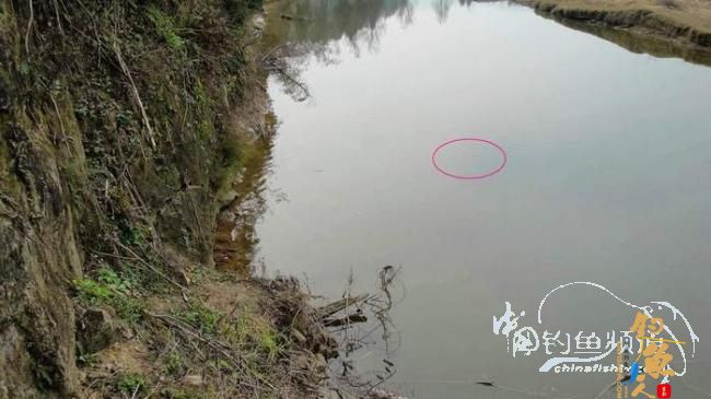 铩羽——我给卯卯钓鲫鱼(垂钓)