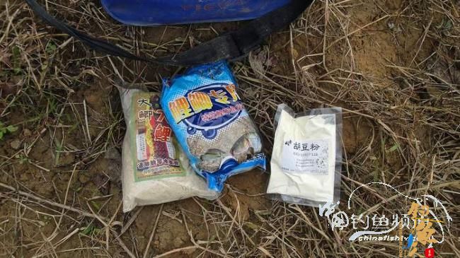 铩羽——我给卯卯钓鲫鱼(垂钓)