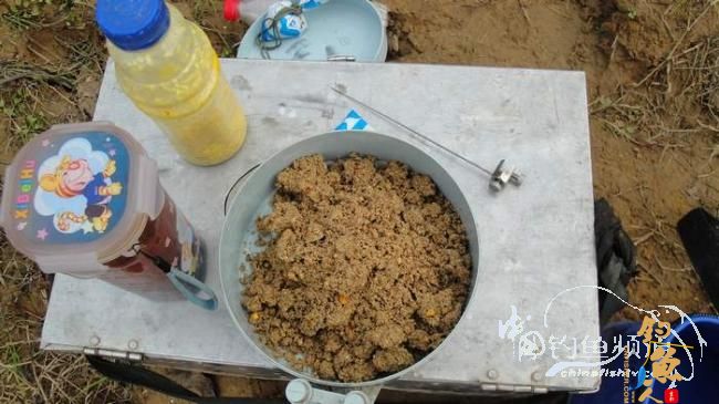 铩羽——我给卯卯钓鲫鱼（垂钓） 