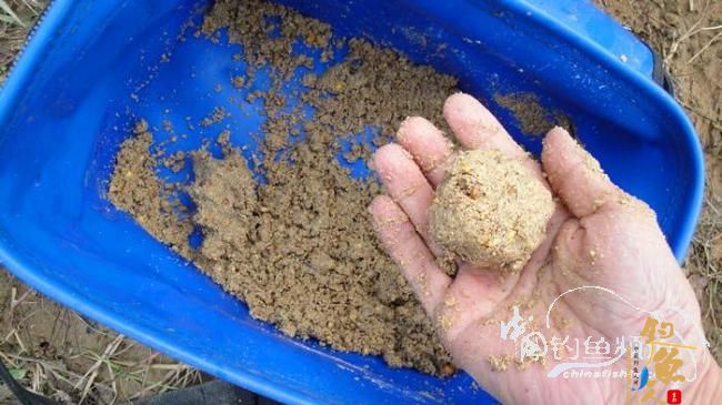 铩羽——我给卯卯钓鲫鱼（垂钓） 