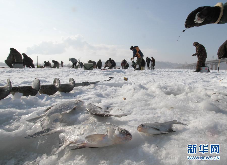 实拍乌克兰钓鱼爱好者的冰钓场景 