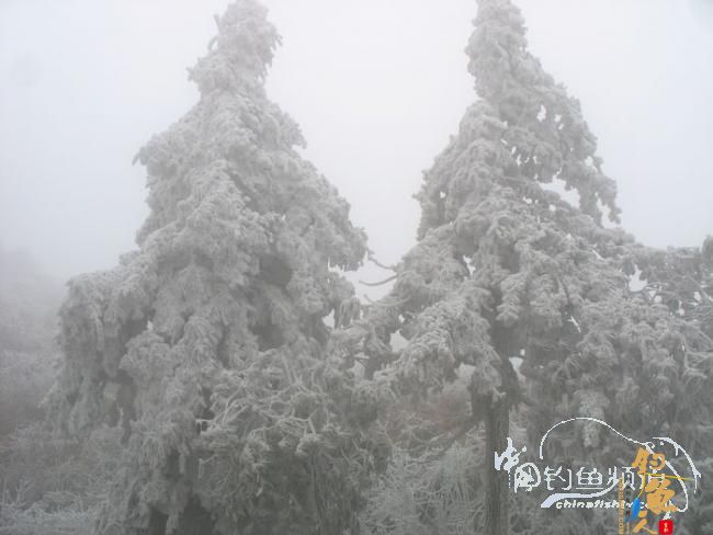 2012年，次次出钓都是部队大领导