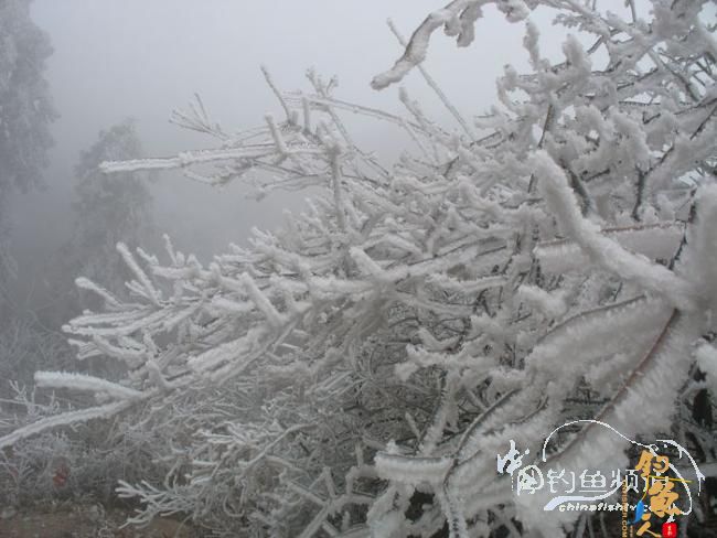 2012年，次次出钓都是部队大领导