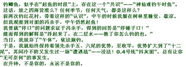 铩羽——我给卯卯钓鲫鱼（下半场） 