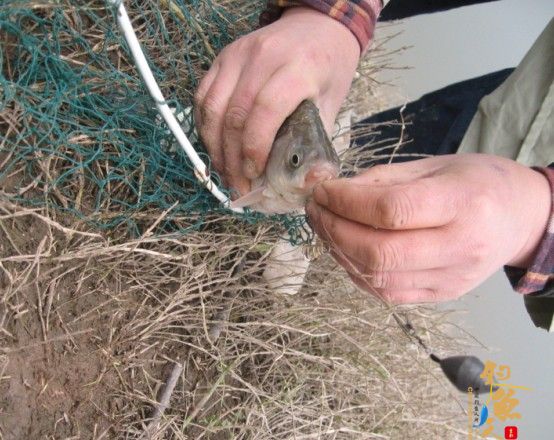 老吴出品：独门秘方，再创辉煌。见图见文字见真相