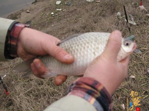 老吴出品：独门秘方，再创辉煌。见图见文字见真相