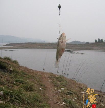 老吴出品：独门秘方，再创辉煌。见图见文字见真相