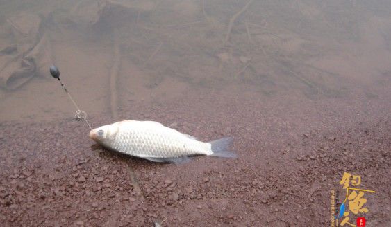 老吴出品：独门秘方，再创辉煌。见图见文字见真相