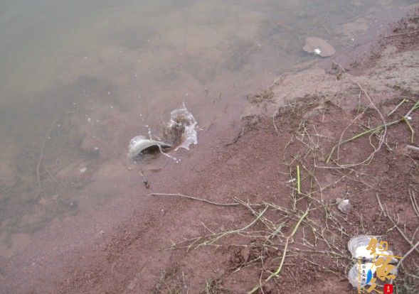 老吴出品：独门秘方，再创辉煌。见图见文字见真相