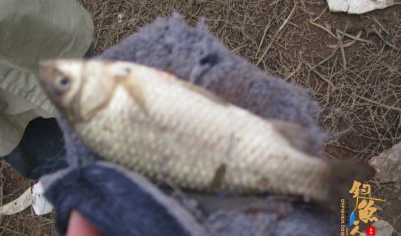 老吴出品：独门秘方，再创辉煌。见图见文字见真相